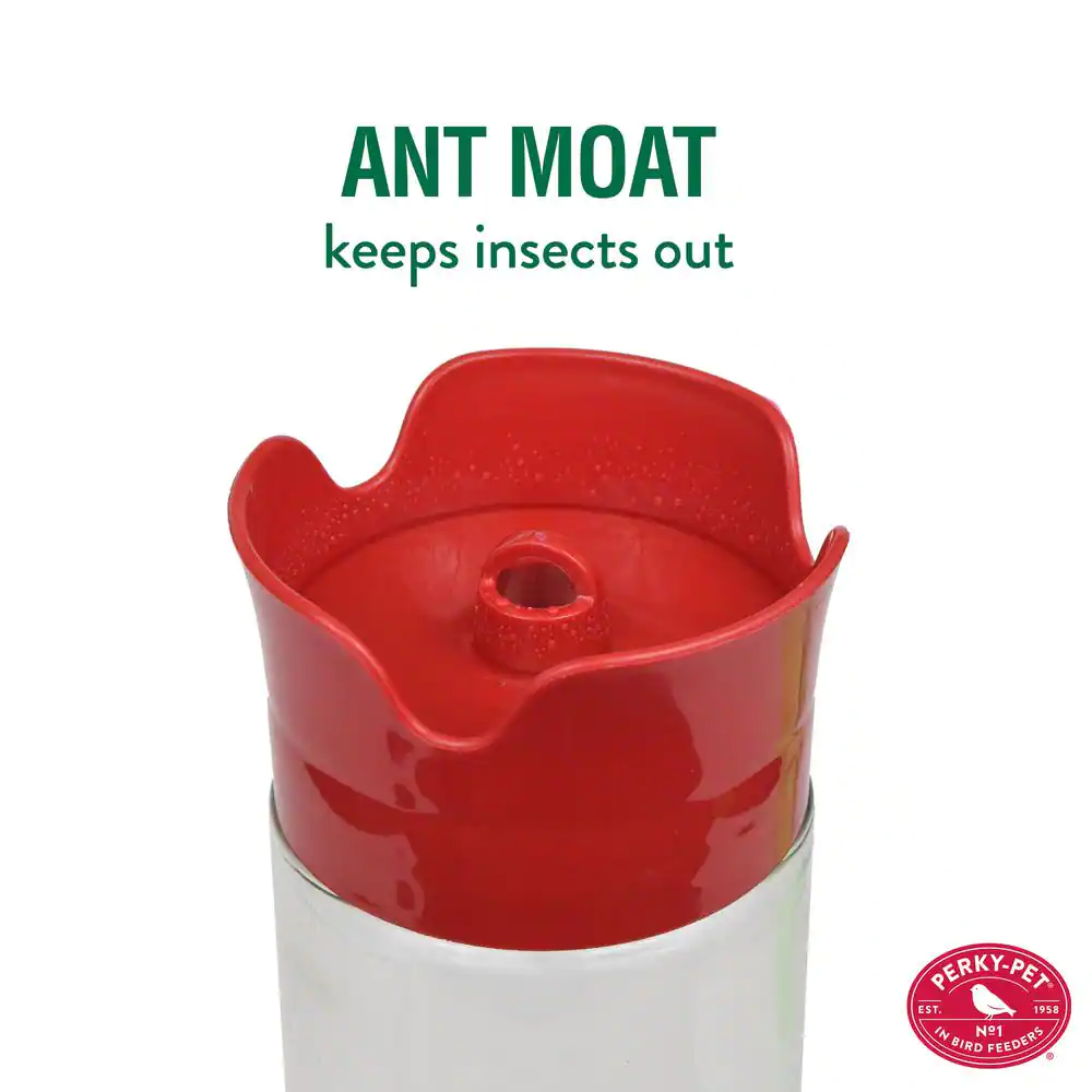 Perky-Pet Our Best Red Base Glass Hummingbird Feeder - 30 oz. Capacity