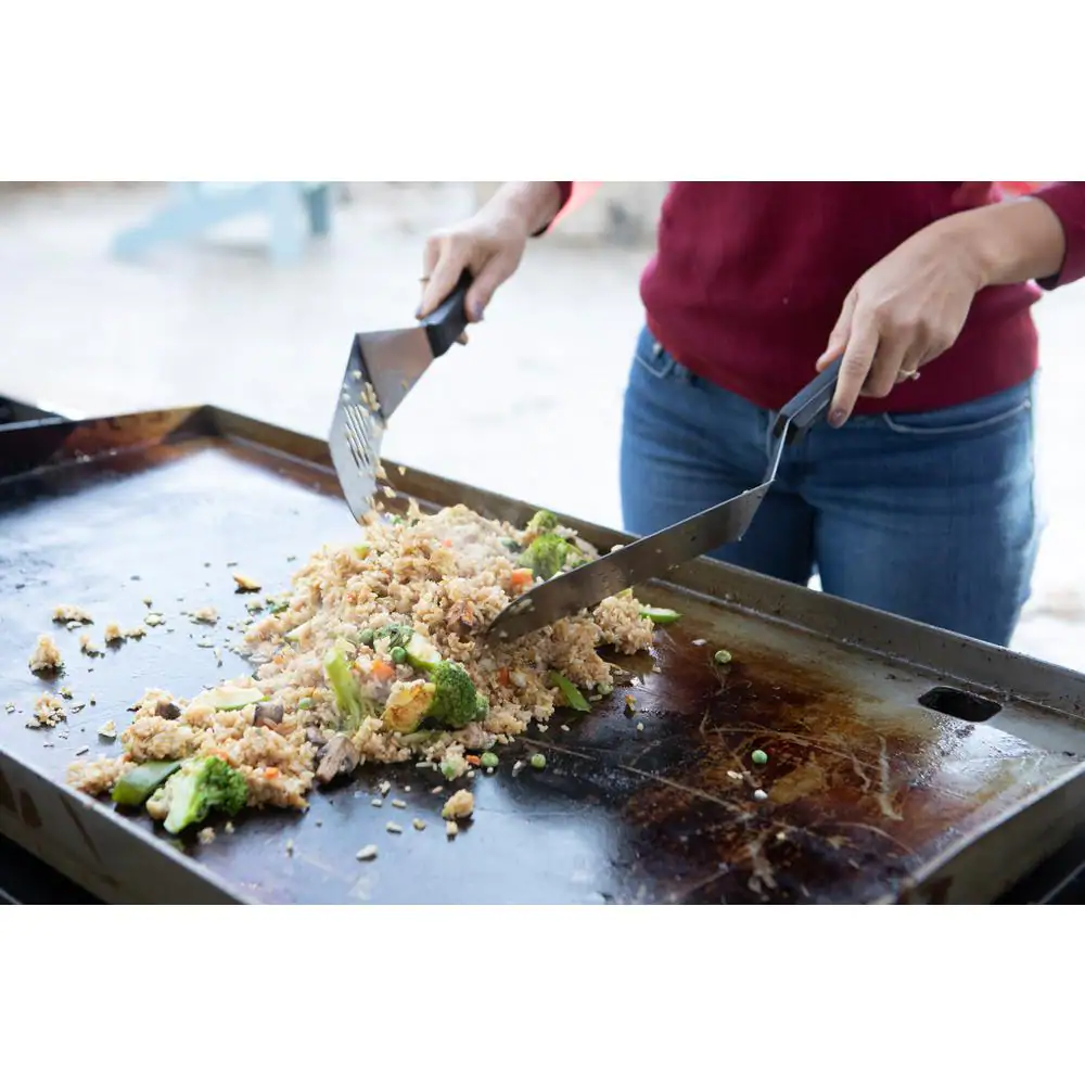 Razor 37 in. 4-Burner Portable Propane Gas Griddle with Folding Shelves and Lid in Black