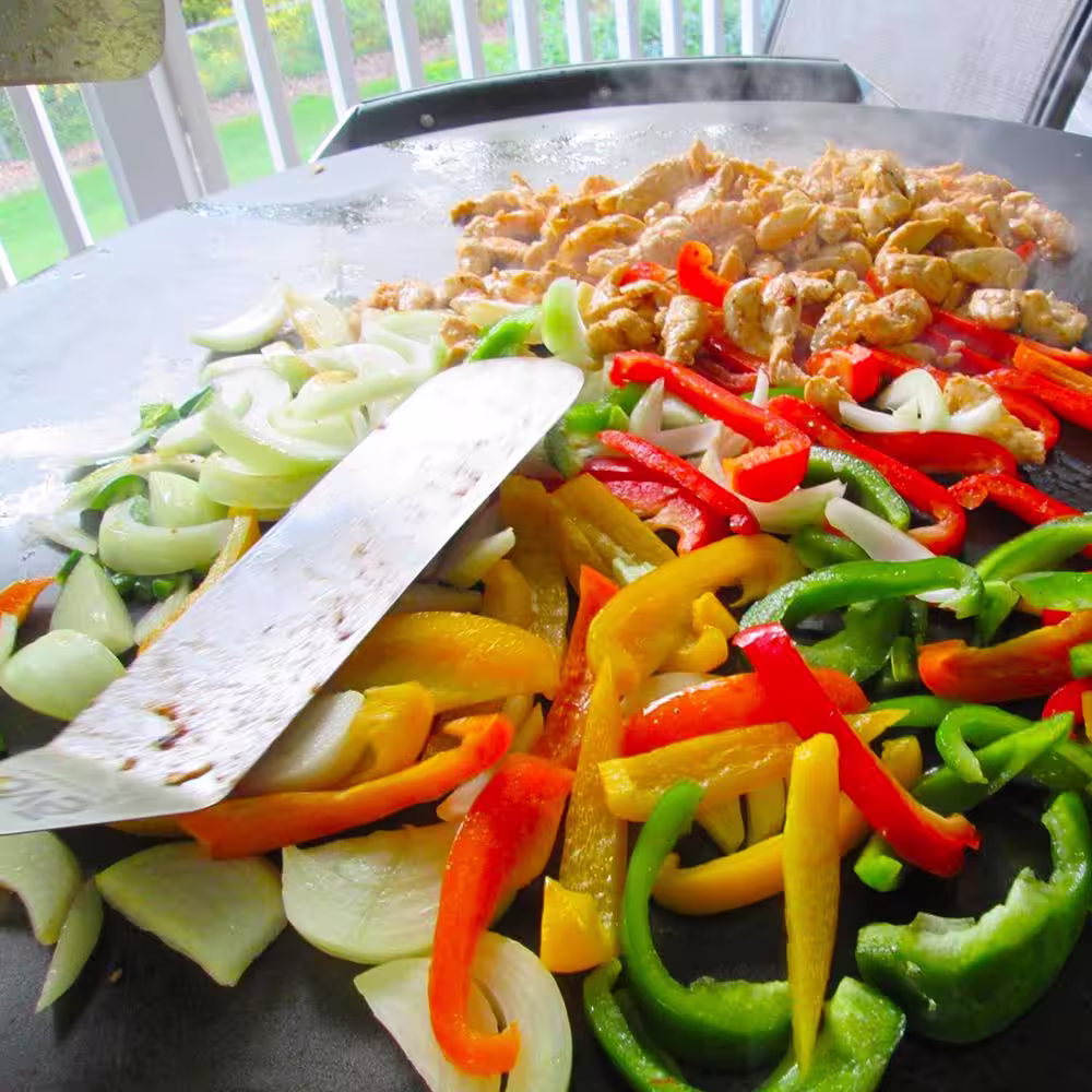 Evo Professional Wheeled Cart 2-Burner Propane Gas Grill in Stainless Steel with Flattop