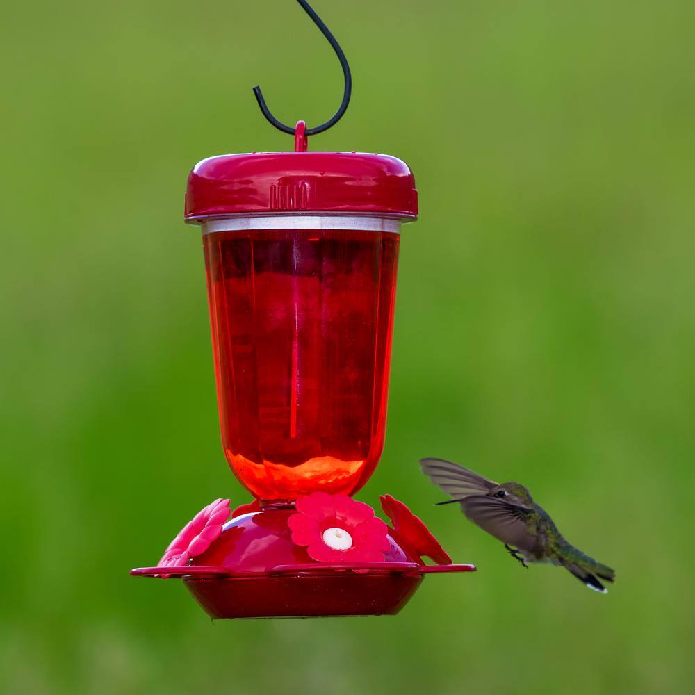 Perky-Pet Finest Top-Fill Plastic Hummingbird Feeder - 16 oz. Capacity