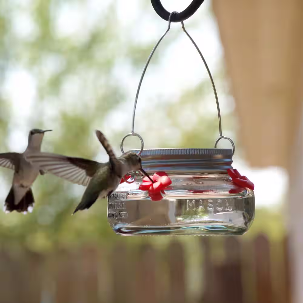 Wild Wings Mason Jar Glass Hummingbird Feeder