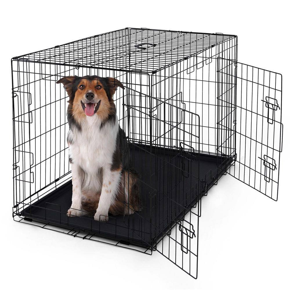 None Foldable Dog Crate Wire Metal Dog Kennel w/Divider Panel, Leak-Proof Pan and Protecting Feet - 42 in. W