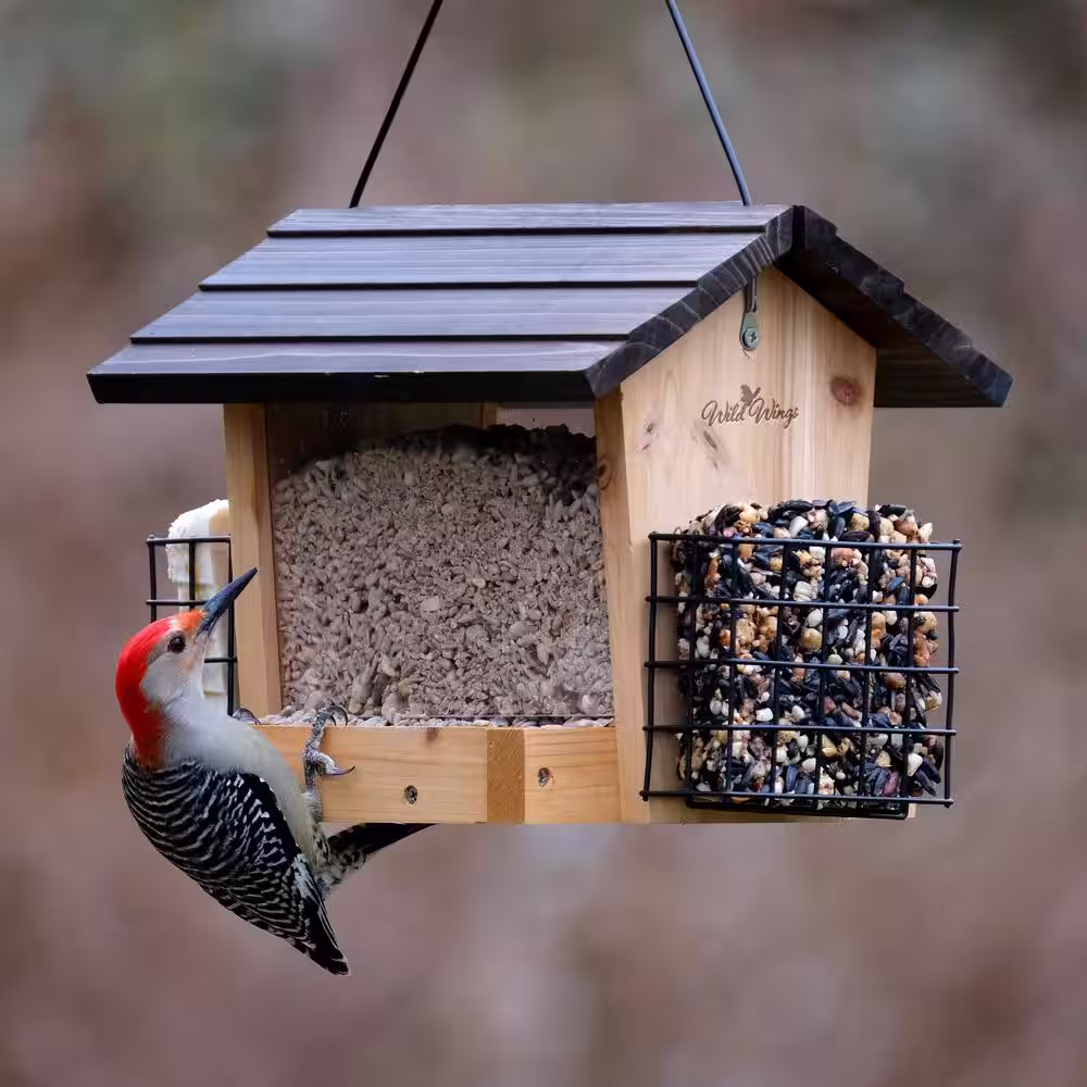 Nature's Way Bird Products 3 Qt. Cedar Hopper with Suet Wild Bird Feeder