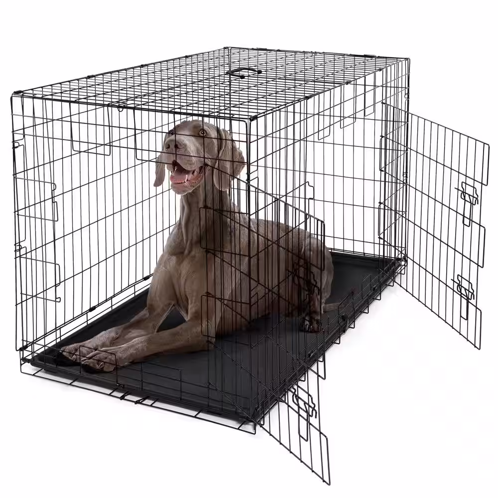 None Foldable Dog Crate Wire Metal Dog Kennel w/Divider Panel, Leak-Proof Pan & Protecting Feet - 48 in. W