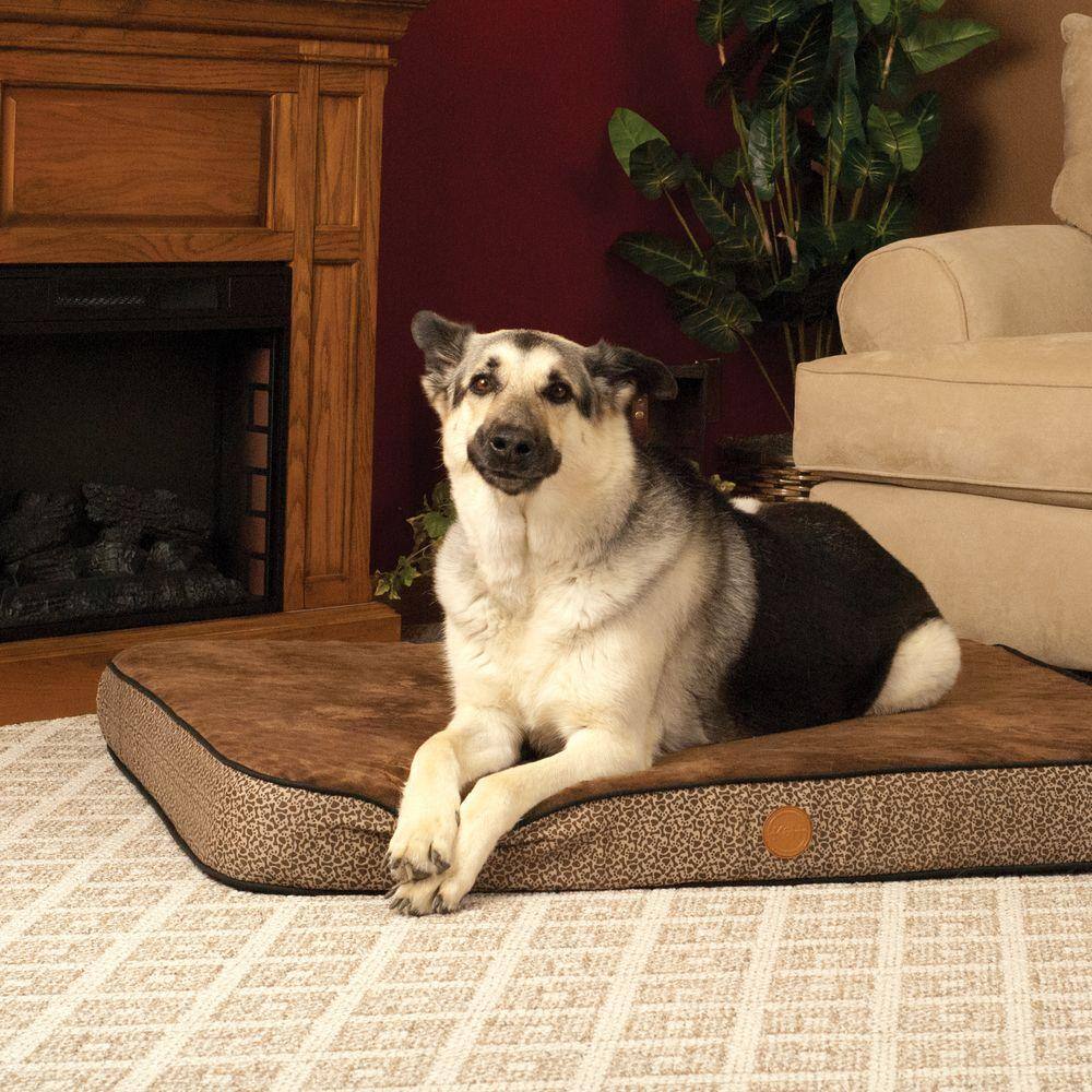 None Superior Orthopedic Medium Mocha Paw Bone Print Dog Bed