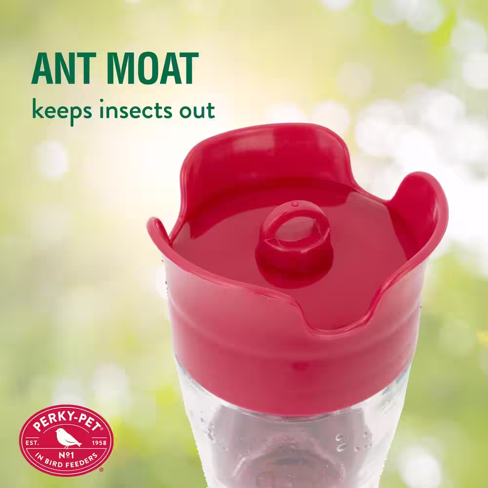 Perky-Pet Clear Pinch Waist Glass Hummingbird Feeder - 8 oz. Capacity