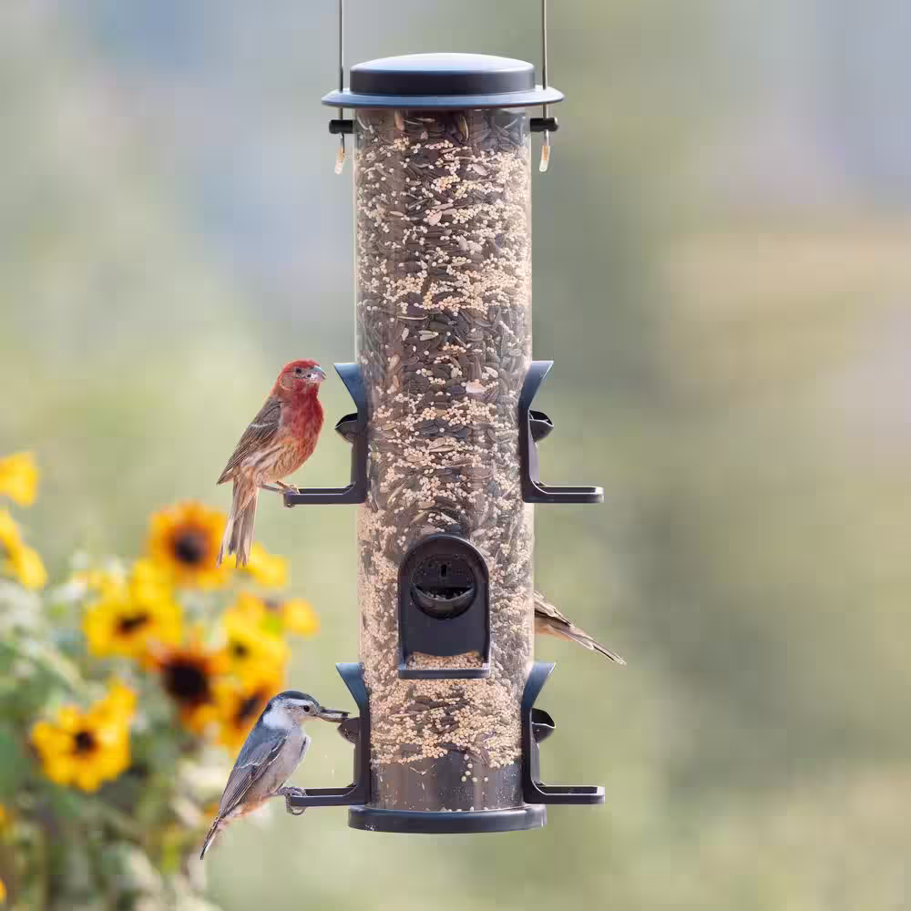 Perky-Pet 2-in-1 XL Tube Hanging Bird Feeder - 4 lb. Capacity