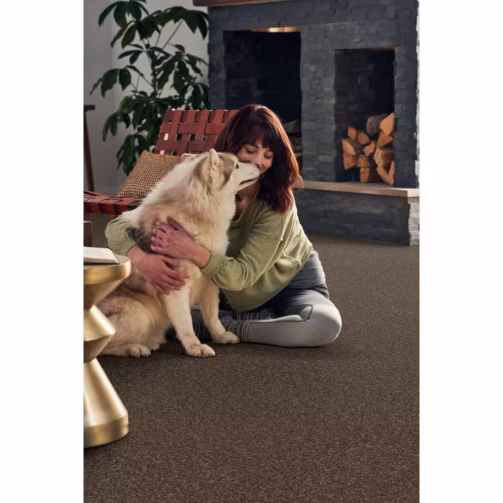 Home Decorators Collection Pioneer - Stampede - Brown 73.5 oz. SD Polyester Texture Installed Carpet