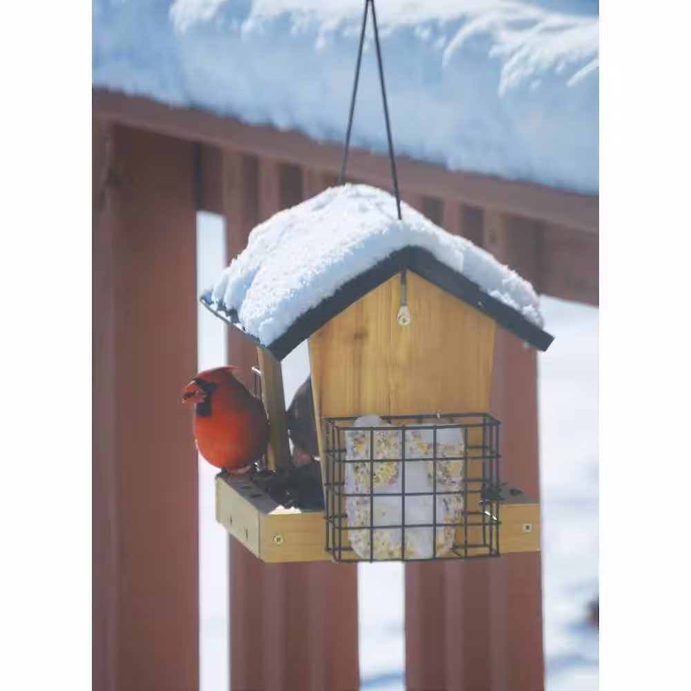 Nature's Way Bird Products 3 Qt. Cedar Hopper with Suet