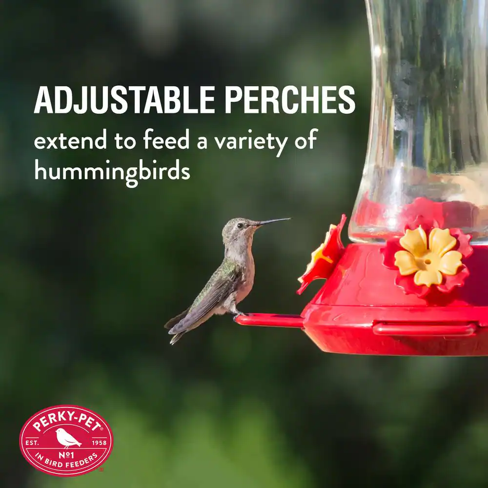 Perky-Pet Adjustable Perch Glass Hummingbird Feeder - 20 oz. Capacity