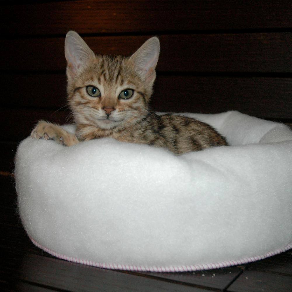 Carolina Pet Company Mysterious Kitty Kup Medium White Bed