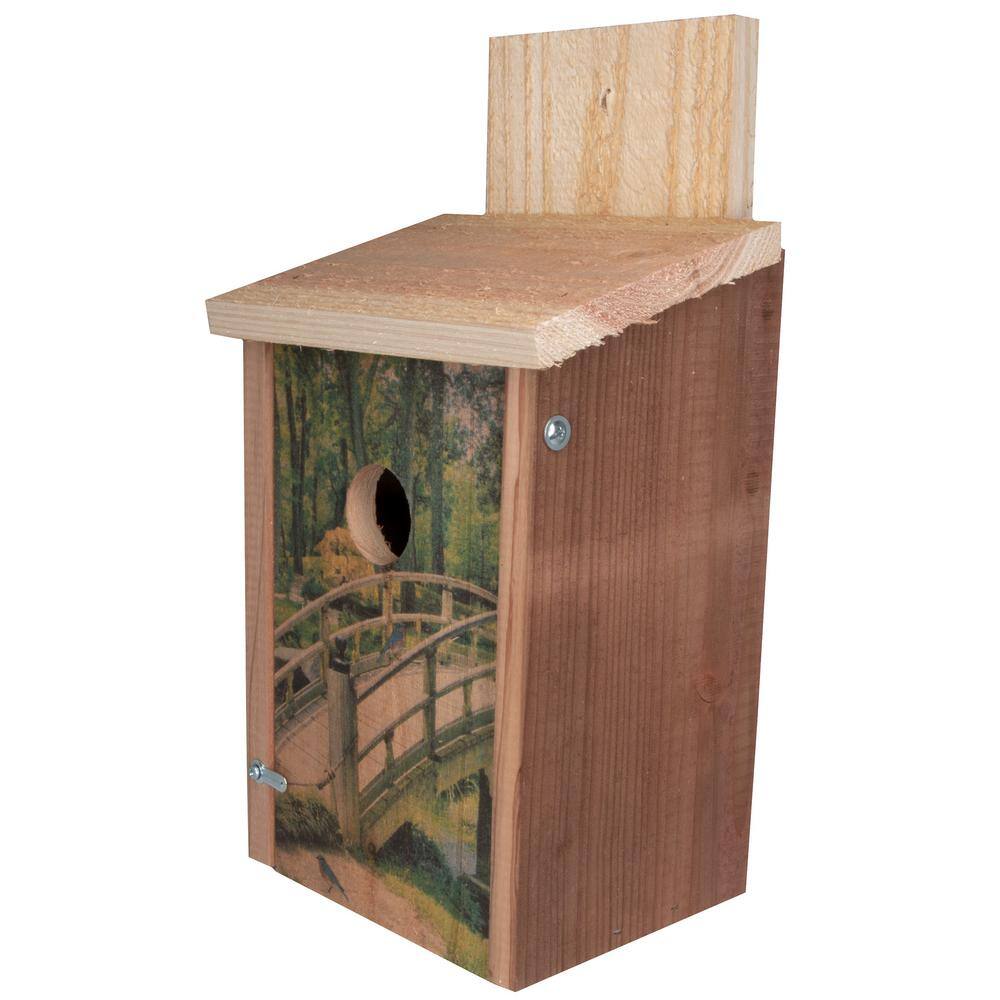S and K Wooden Bridge Design Cedar Blue Bird House