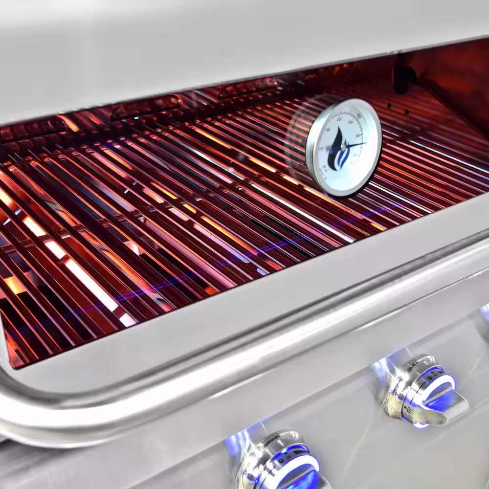 3 Embers 6 Burner Stainless Steel Dual Fuel Propane Gas Grill