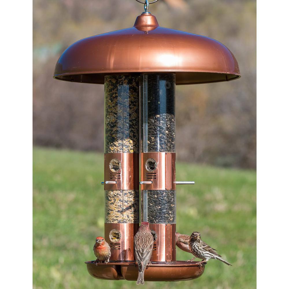 Perky-Pet CopperÂ FinishÂ Rust-Resistant Durable Triple-TubeÂ Multi-Seed Squirrel-Resistant WildÂ Bird Feeder - 10 lb. Capacity