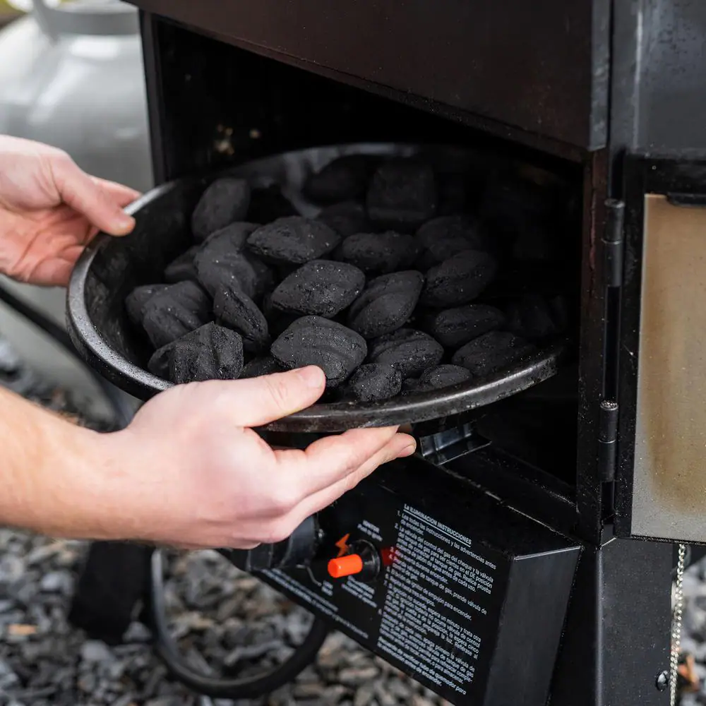 Masterbuilt 30 in. Dual Fuel Propane Gas and Charcoal Smoker in Black