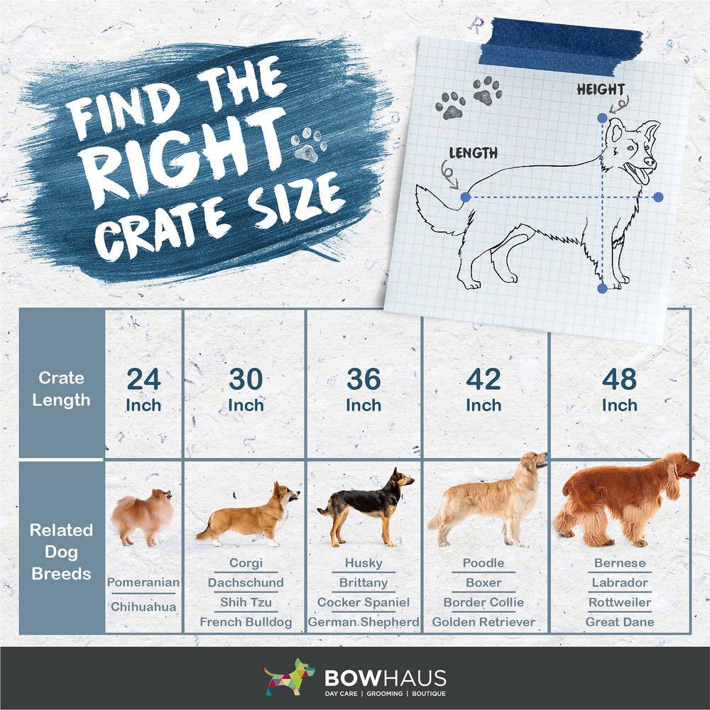 None 24 in. W Foldable Dog Crate Wire Metal Dog Kennel with Divider Panel, Leak-Proof Pan and Protecting Feet