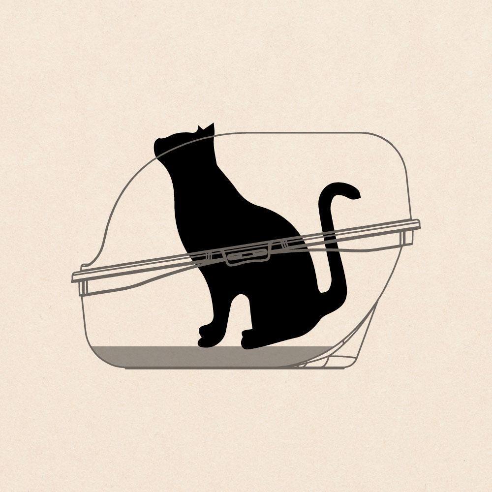 Rimax Plastic Hooded Cat Litter Box with Scoop 22.3 in. x 14.33 in. in Gray and Turquoise