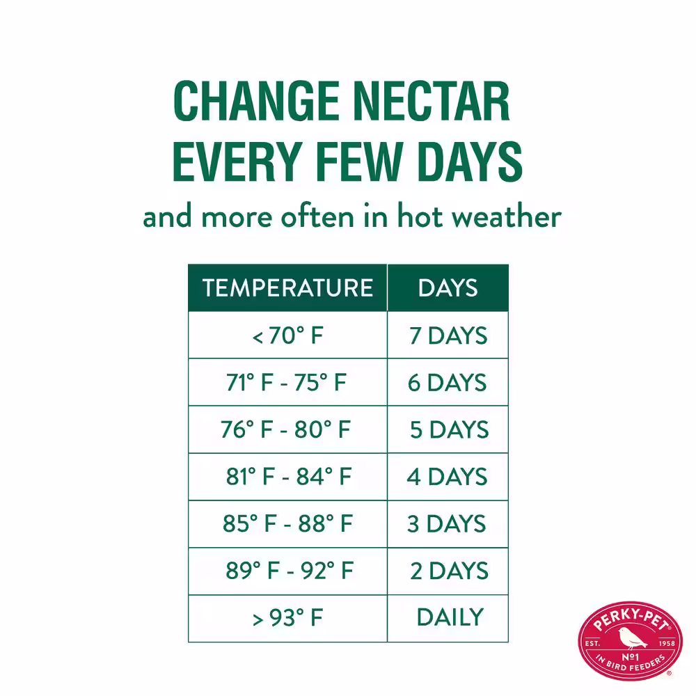 Perky-Pet Looking Glass Hummingbird Feeder - 32 oz. Capacity