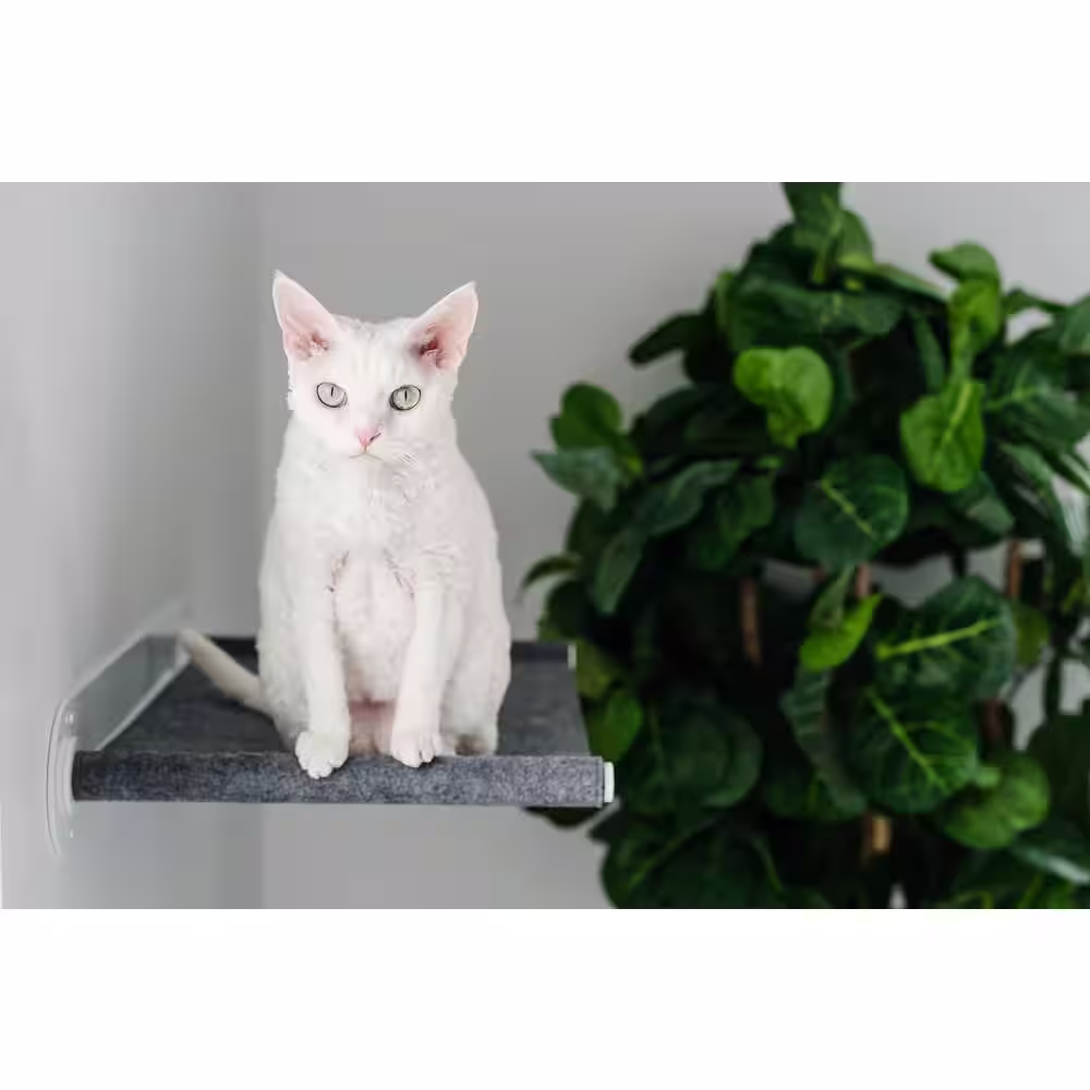MAU LIFESTYLE Houdini Medium Cat Wall Bed
