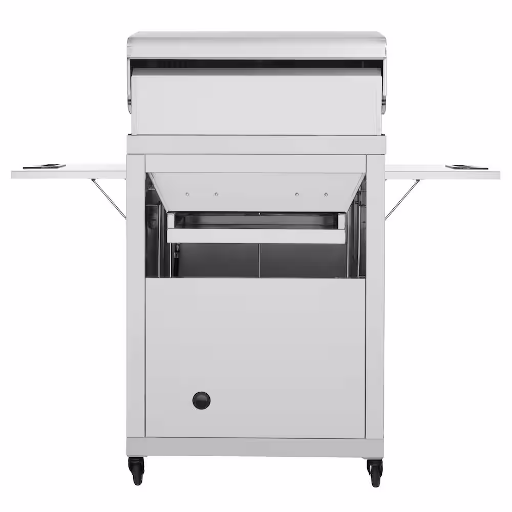 Fuego Premium 2-Burner Propane Gas Grill in Stainless Steel