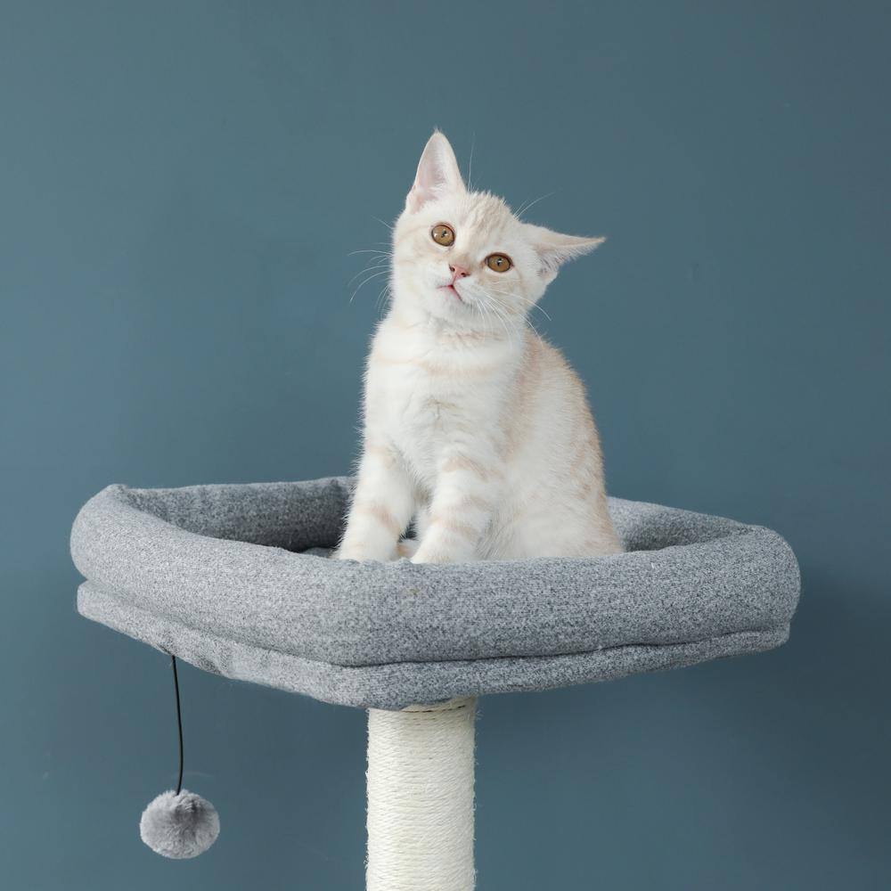 ANGELES HOME 62 in. Gray Cat Tree Multi-level large play tower, playhouse with apartment, hanging toys - Gray