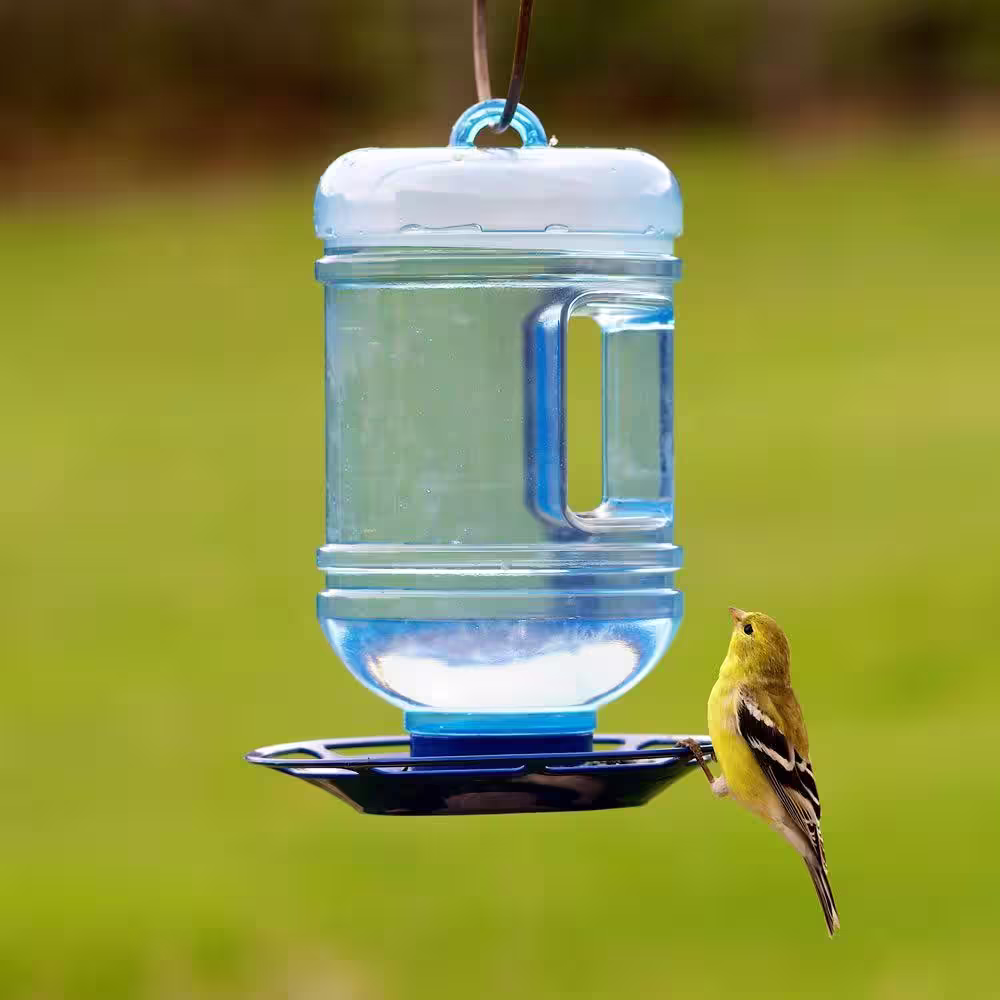Perky-Pet Water Cooler Hanging Bird Waterer - 48 oz. Capacity
