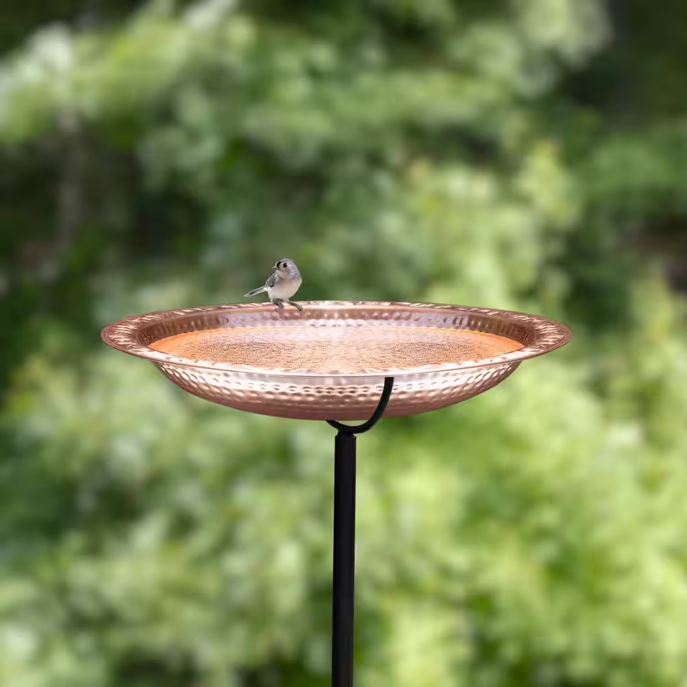 Good Directions Pure Copper 18 in. Bird Bath on Garden Pole