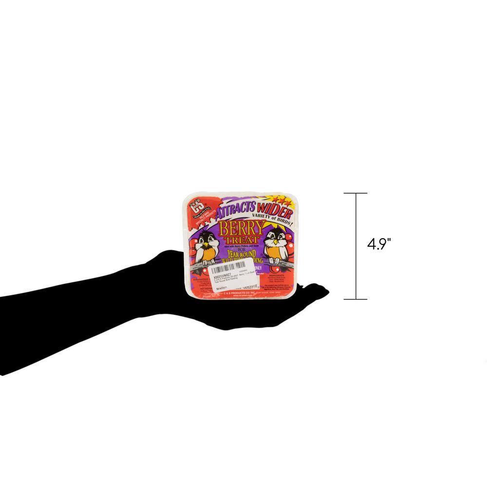 C and S Products Berry Treat 0.7 lbs. Wild Bird Suet
