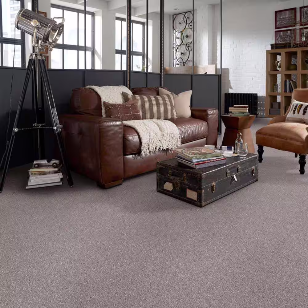 Home Decorators Collection Brave Soul I - Tapestry - Brown 34.7 oz. Polyester Texture Installed Carpet