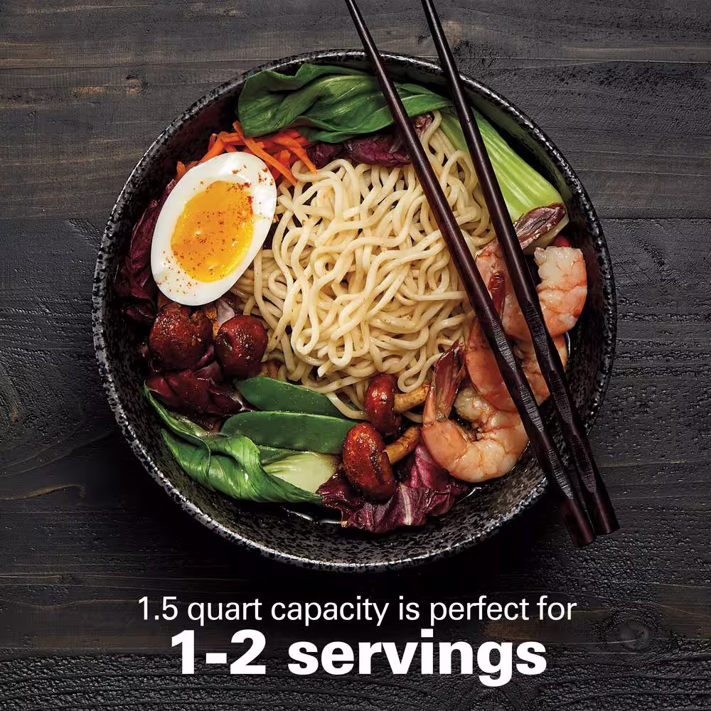 Hamilton Beach Compact 1.5 Qt. Stainless Steel Electric Multi-Cooker