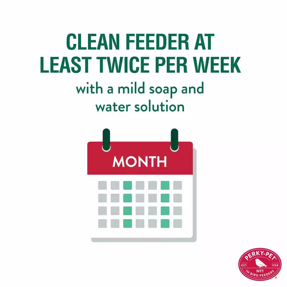 Perky-Pet Looking Glass Hummingbird Feeder - 32 oz. Capacity