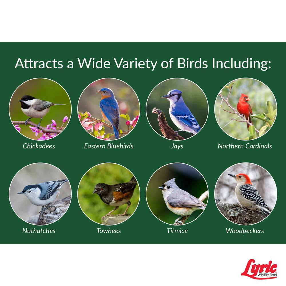 Lyric 15 lbs. Peanut Pieces Wild Bird Food