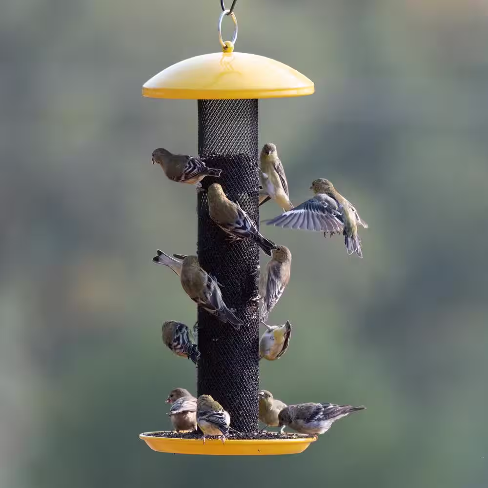 Perky-Pet Yellow Straight Sided Finch Tube Hanging Bird Feeder - 1.5 lb. Capacity