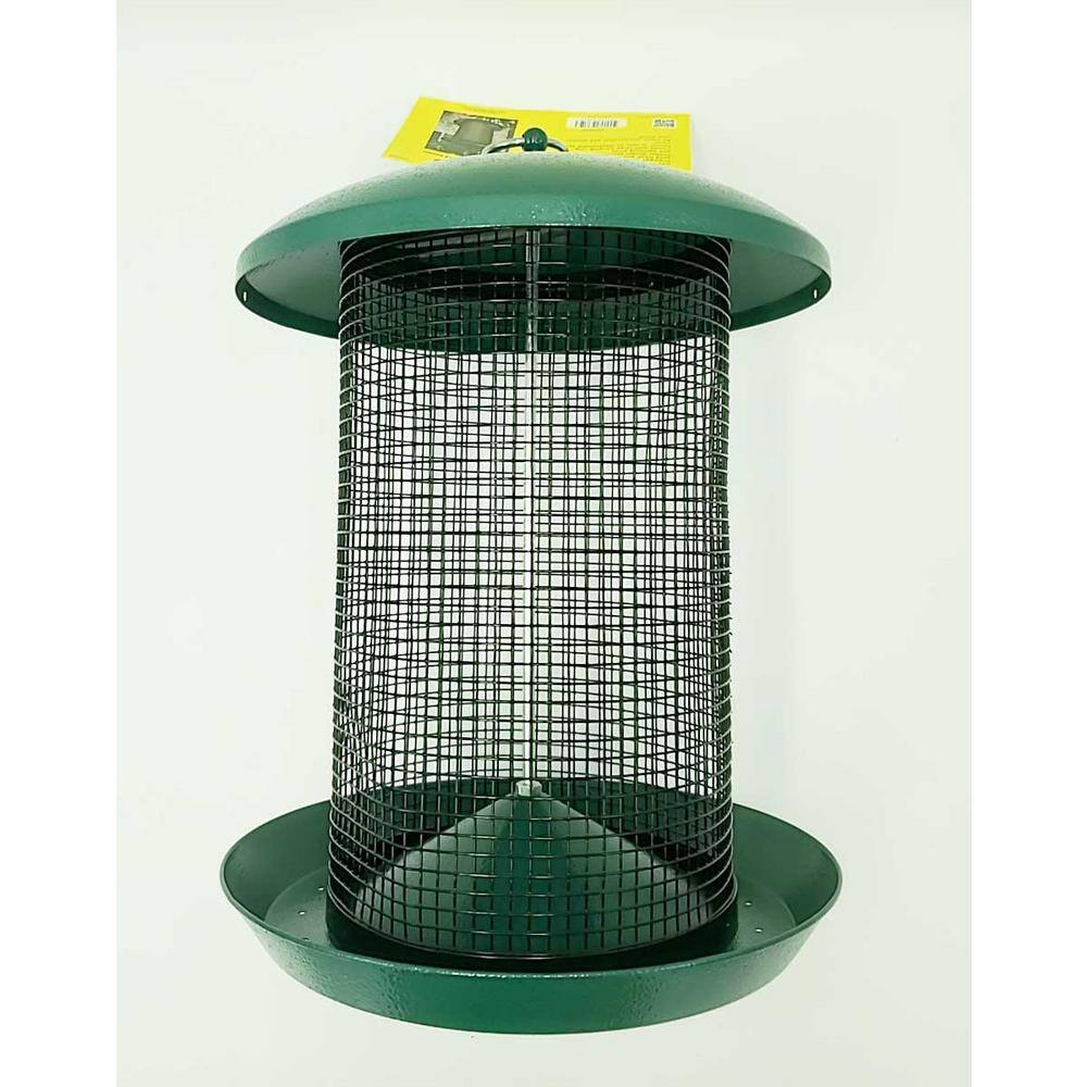 None Hanging Bird Seed Screen Feeder