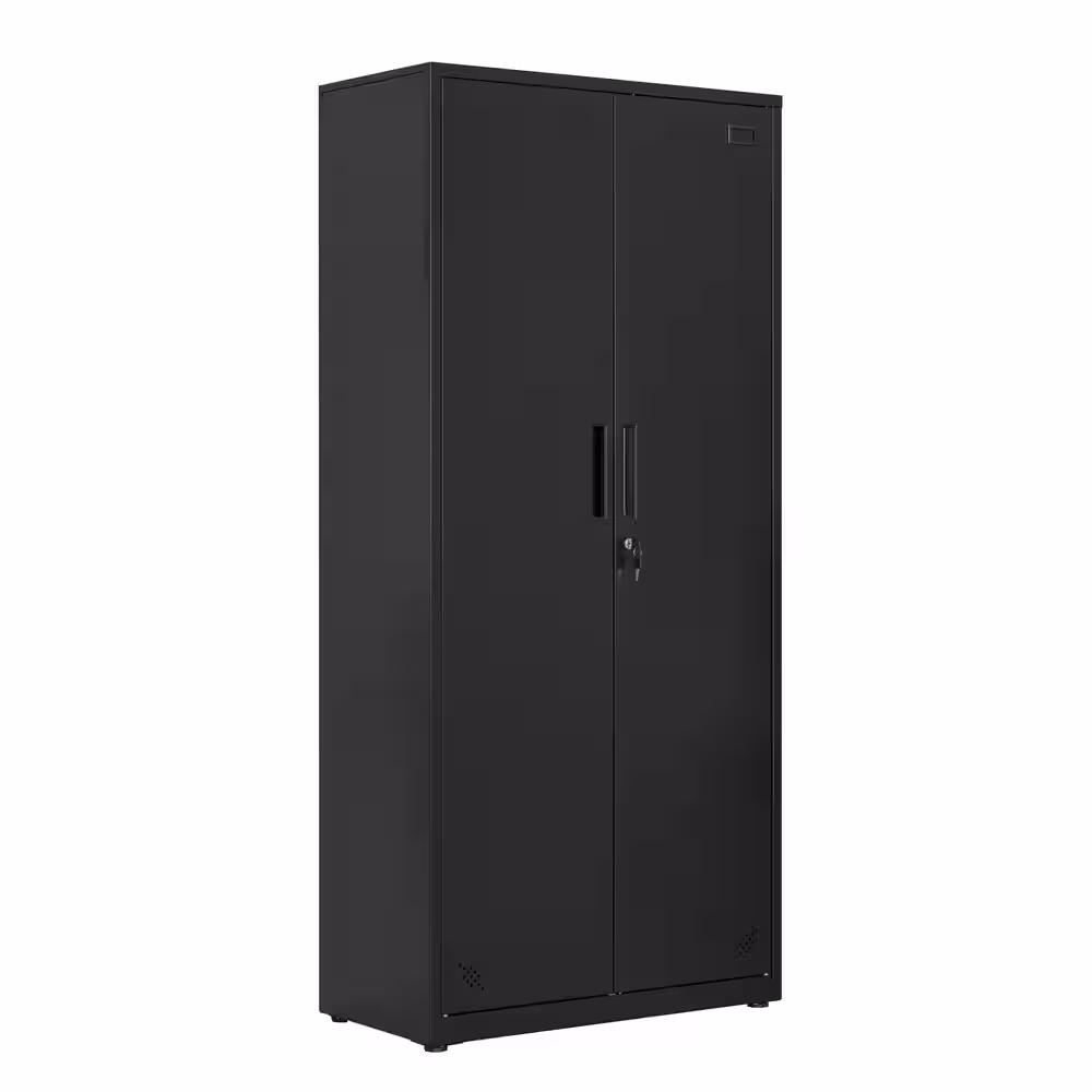 None Metal Black Storage Cabinet with 2-Doors and 4-Shelves, Lockable Tall Cabinet for Home Office Garage Kitchen Pantry