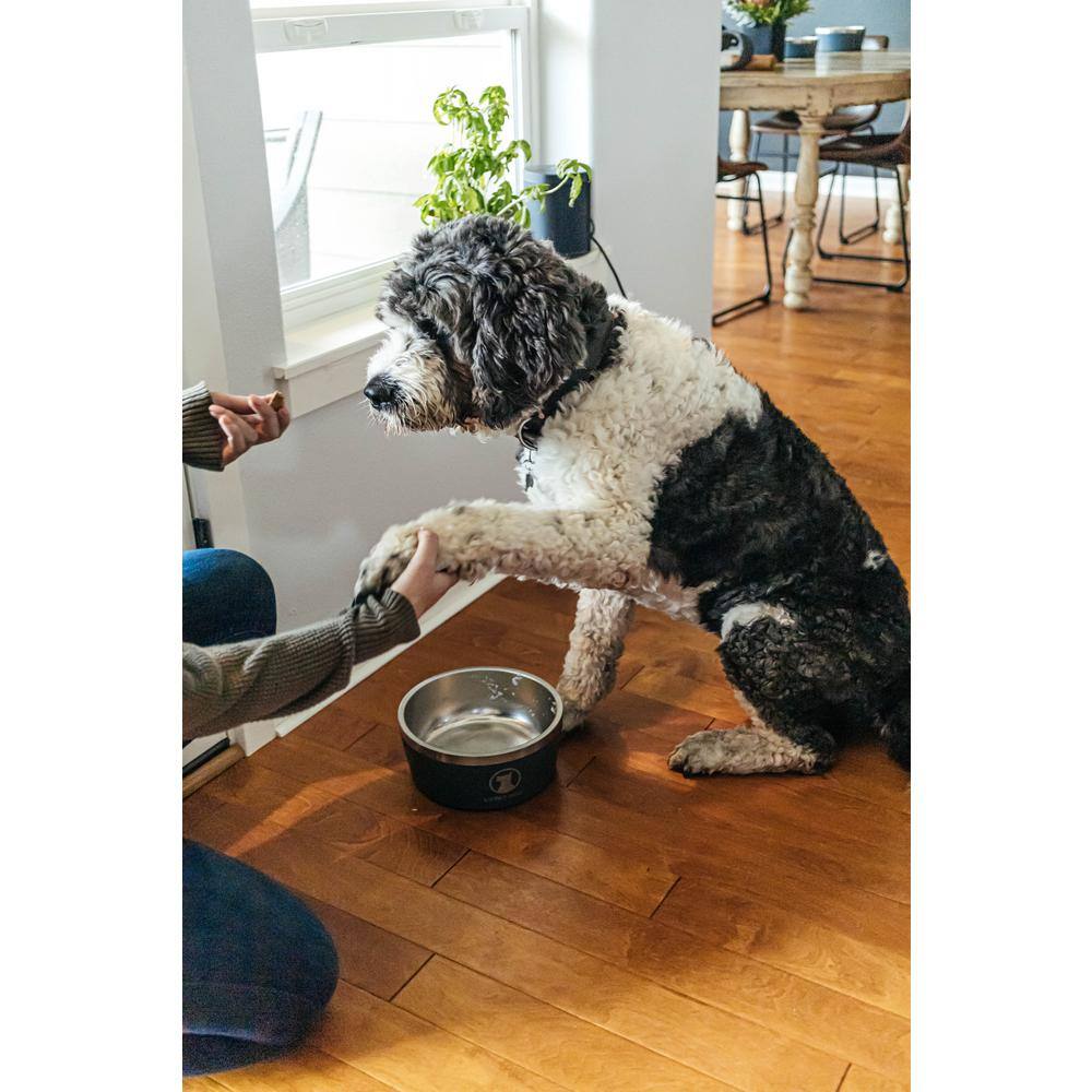 Lucky Dog Indulge 100 oz. 12.5 Cup Double Wall Stainless Steel Dog Bowl, Non Slip, Lifetime Warranty in Black