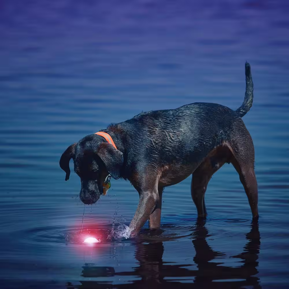 Nite Ize GlowStreak LED Red Ball Dog Toy