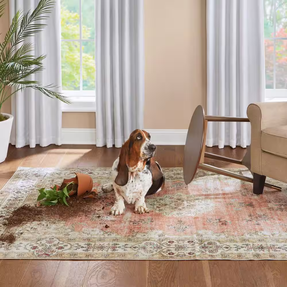 StyleWell Ramsey Round Sable Brown Wood End Table with Brass Caps (22 in. W x 24 in. H)