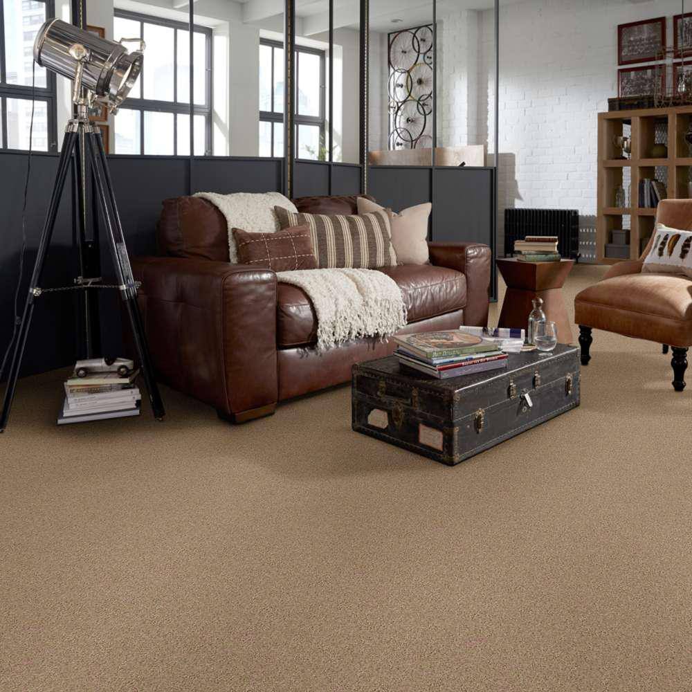Home Decorators Collection Brave Soul II - Garbanzo - Brown 44 oz. Polyester Texture Installed Carpet