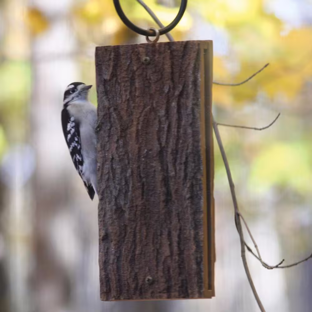 BIRDS choice Suet-Sandwich Suet Feeder