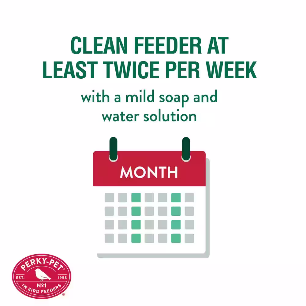 Perky-Pet Adjustable Perch Glass Hummingbird Feeder - 20 oz. Capacity