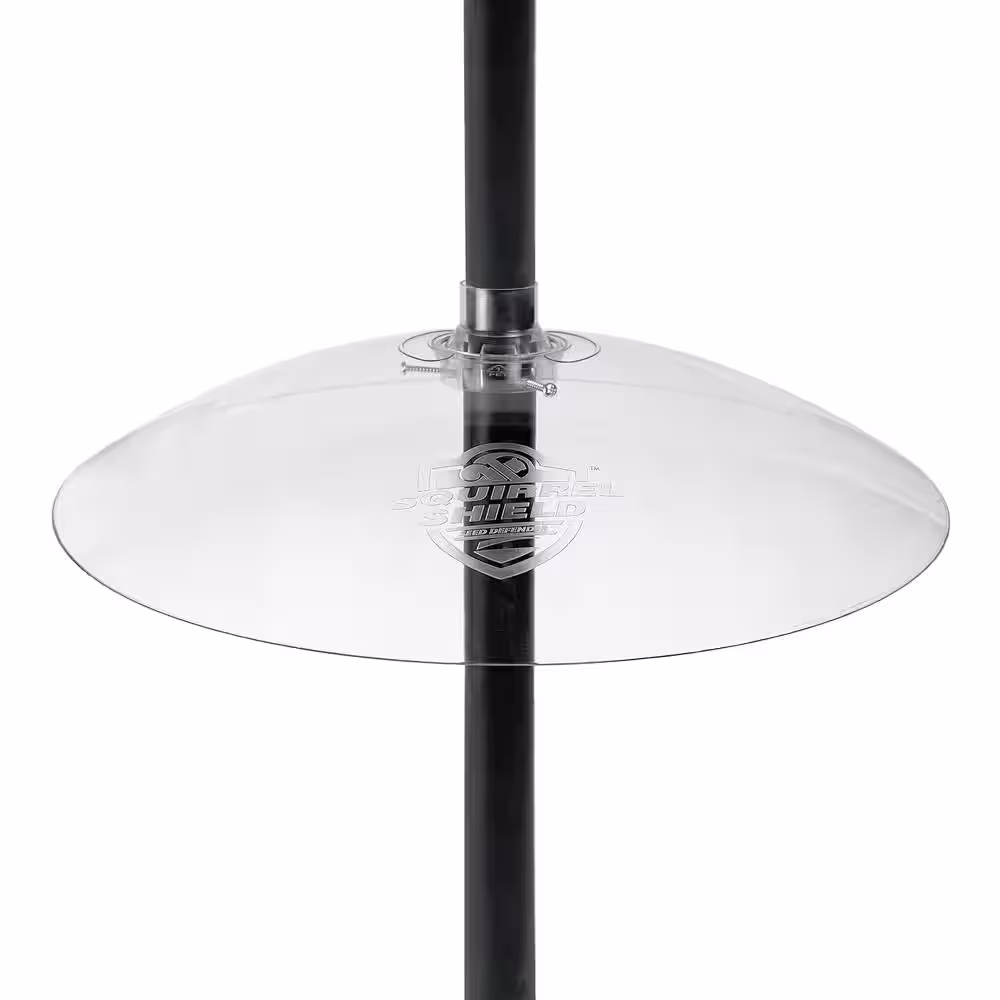 None Clear Plastic Dual-Mount Squirrel Baffle Guard