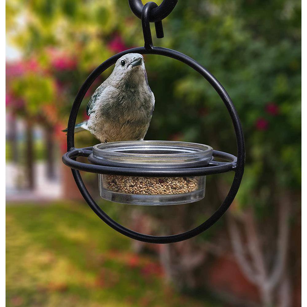 Monarch Abode Monarch Circular Bird Feeder (Clear Glass Base) with Perch