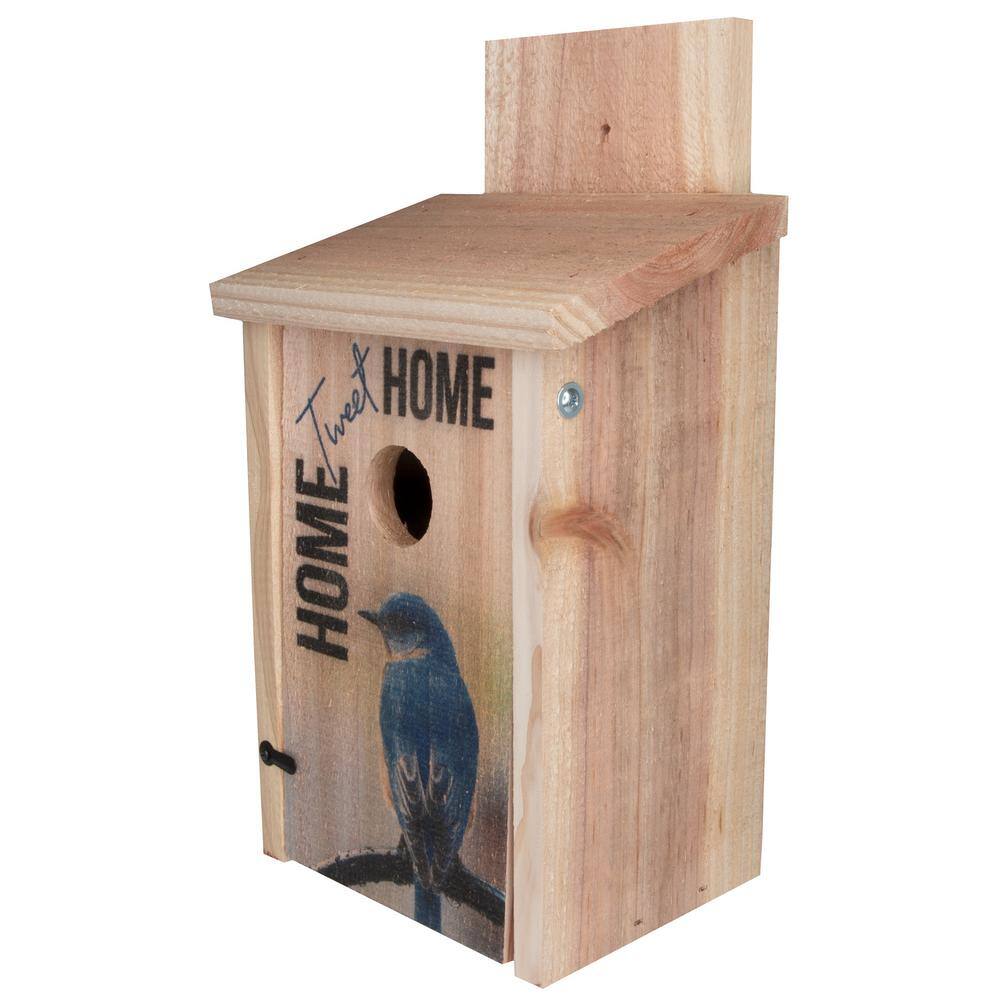 S and K Decorative Home Tweet Home Cedar Blue Bird House