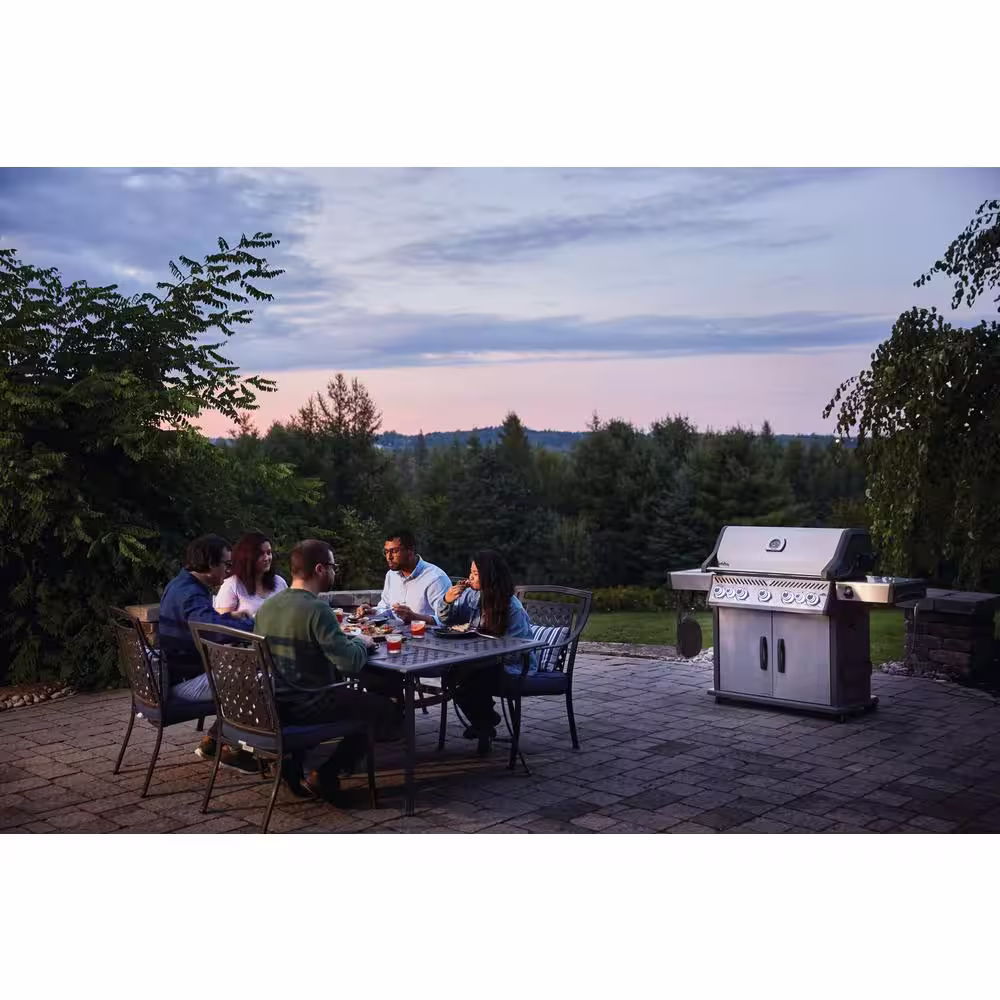 NAPOLEON Rogue 5-Burner Natural Gas Grill with Infrared Rear and Side Burners in Stainless Steel
