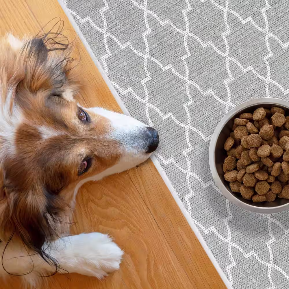 SUSSEXHOME Cat and Dog Litter Mat for Litter Box - 2 ft. x 3 ft. Mat