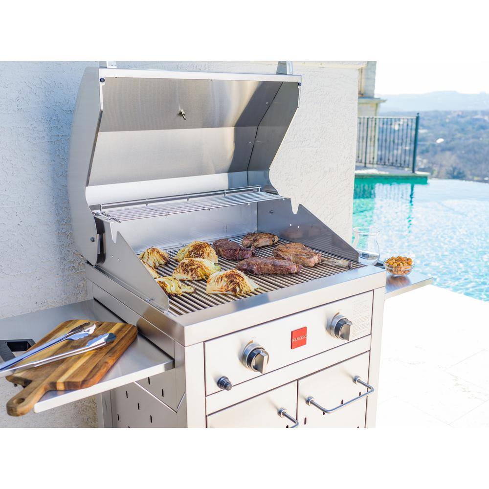 Fuego Premium 2-Burner Propane Gas Grill in Stainless Steel