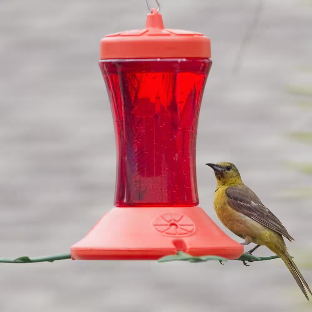 Perky-Pet Clear Plastic Oriole Nectar Feeder - 24 oz. Capacity