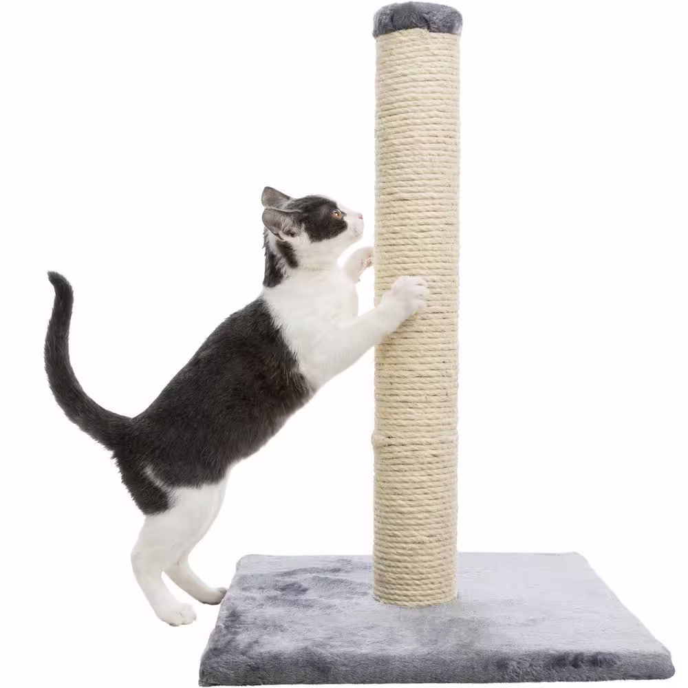 TRIXIE Parla Scratching Post, Dark Gray