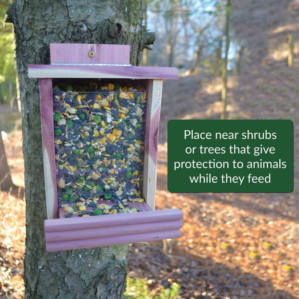 Lyric 10 lb. Wildlife Food